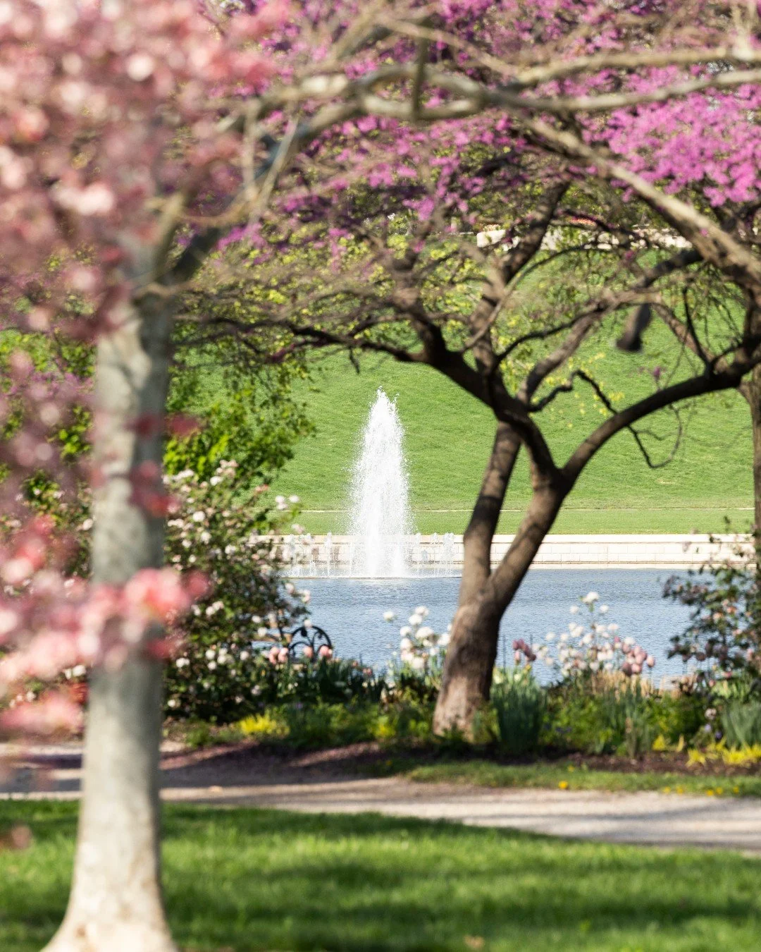 Vote for Forest Park and let the nation knows St. Louis is #1 🌲 link in our bio

Forest Park is vibrant, fun and resilient &mdash; just like the St. Louis community that has made it the place to be for the past 150 years. We are thrilled that USA To