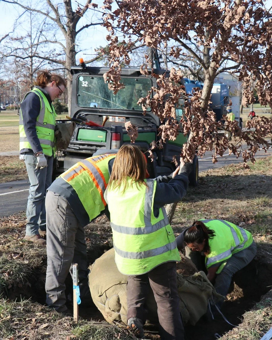 Our nonprofit conservancy&rsquo;s first-ever endowed staff position 🌲McDonnell Conservation Arborist🌲 was established during a pivotal time for restoration in Forest Park. 

Prior to this position, arboriculture (planting and caring for trees) fell