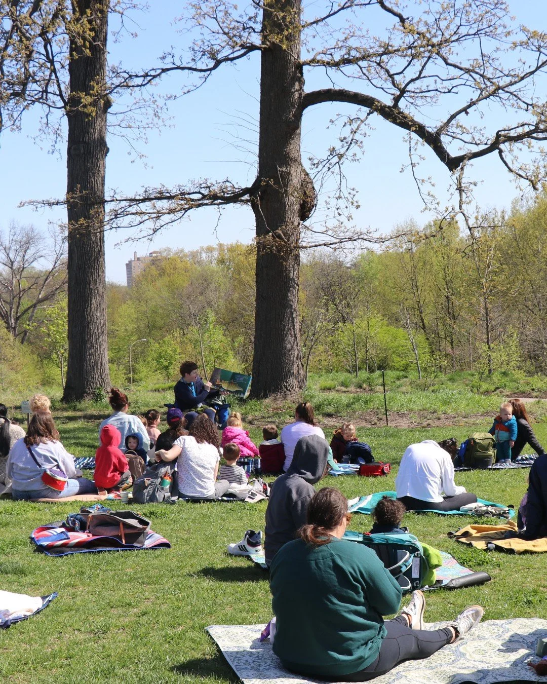 Our Education team is hosting Spring Storytime in Forest Park at 10am on Monday mornings this season. 

Bring your imagination to the Nature Playscape! Weather permitting, our next day together is Monday, March 23 📚  https://www.forestparkforever.or