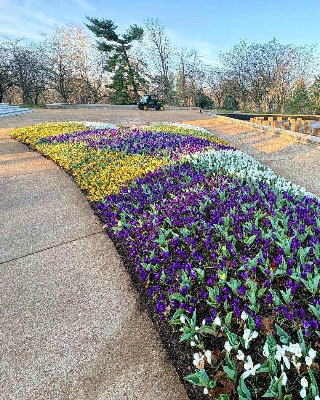 When that morning light hits the crocus petals just right 🤩 ... Happy Spring from Forest Park!

#SpringEquinox #ForestParkForever #ForestParkSculpture #ForestParkPic #ForestParkStL