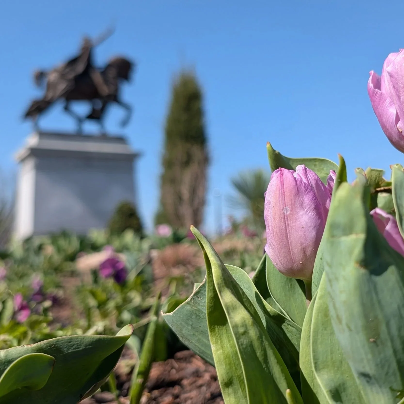 PXL_20260319_194553673.MP.jpg (Copy)