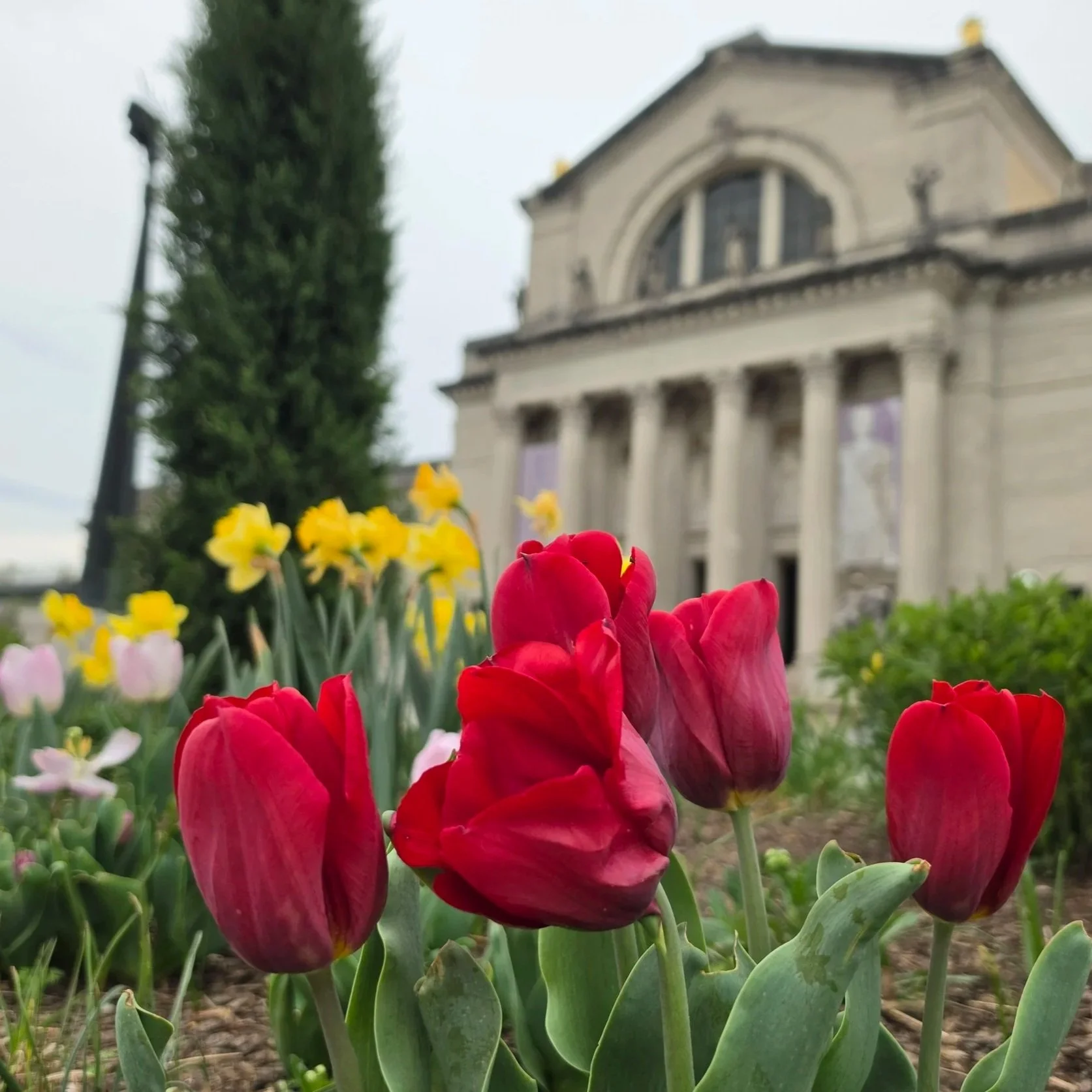 20260331_131213.jpg (Copy)