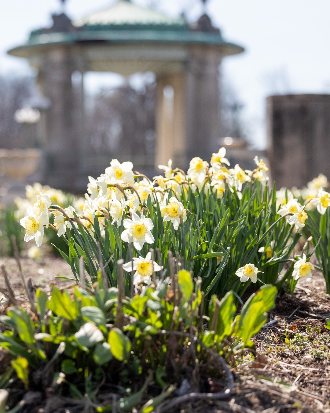 Last weekend to vote for Forest Park! 🌲 No registration is required to vote daily through April 6.

🔗  Link in our bio.

Forest Park is vibrant, fun and resilient&mdash;just like the community that has helped us restore it as a community treasure. 