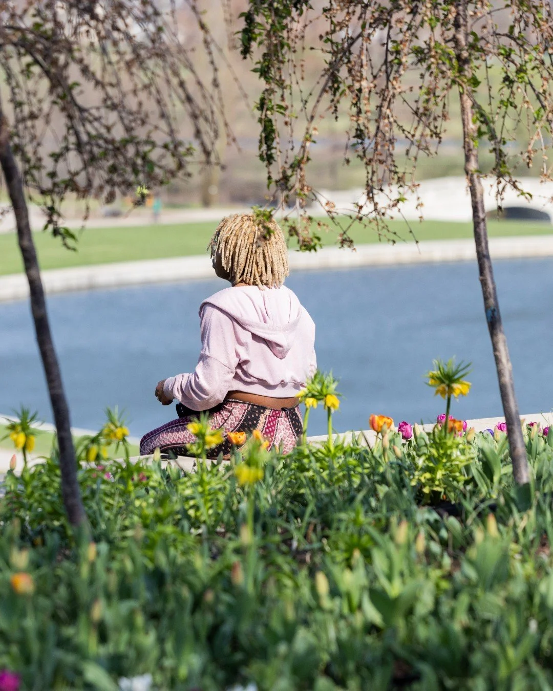 Forest Park is the place to be. To just, be. 

From flowering bulbs to budding trees, our beloved green space is a prime location to experience the fullness of spring in the days and weeks to come!

Link in our bio to learn more about how Forest Park