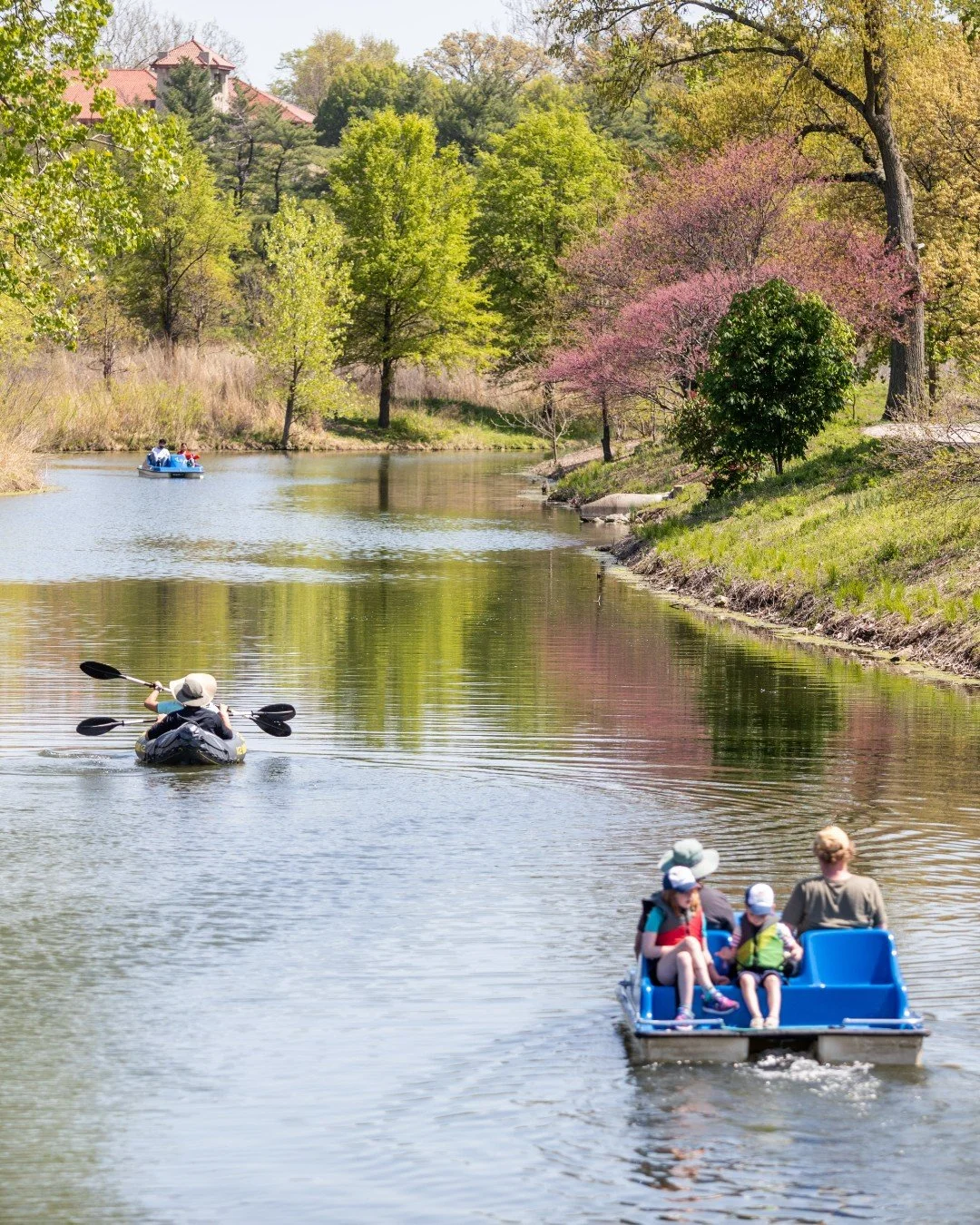 Today's mood = thankful it's boat and bike rental season at the Boathouse

🚲 @PaddleForestPark has rental information and hours of operation in Forest Park
🛶 @paddlestl has Big Muddy Adventures
📍 The Boathouse restaurant and event space is still u