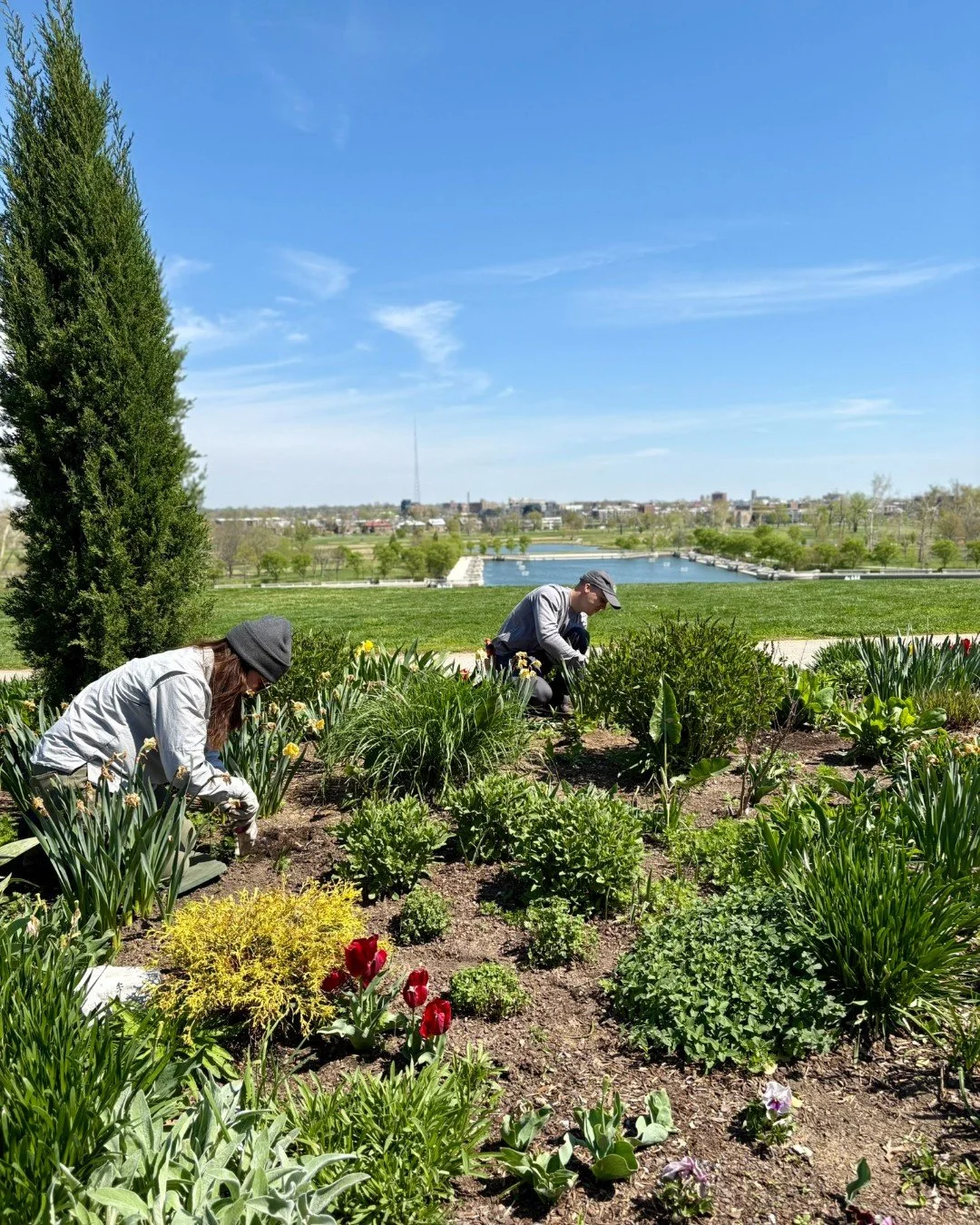 Forest Park is a community-driven space, powered by local leadership and the generous support of thousands of Forest Park Forever annual members who fund our daily work. 

This 1,300-acre green space is a reflection of community pride, a tremendous c