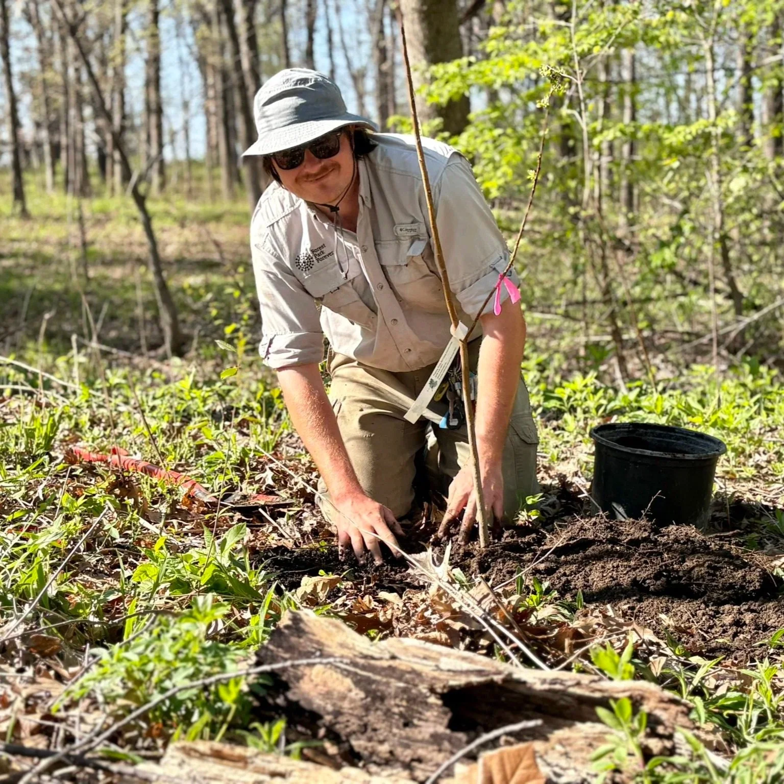 Forest Park Forever team members and volunteers planted 200 trees donated by the Webster Groves Rotary Club in Successional Forest on April 1 and 2, 2026