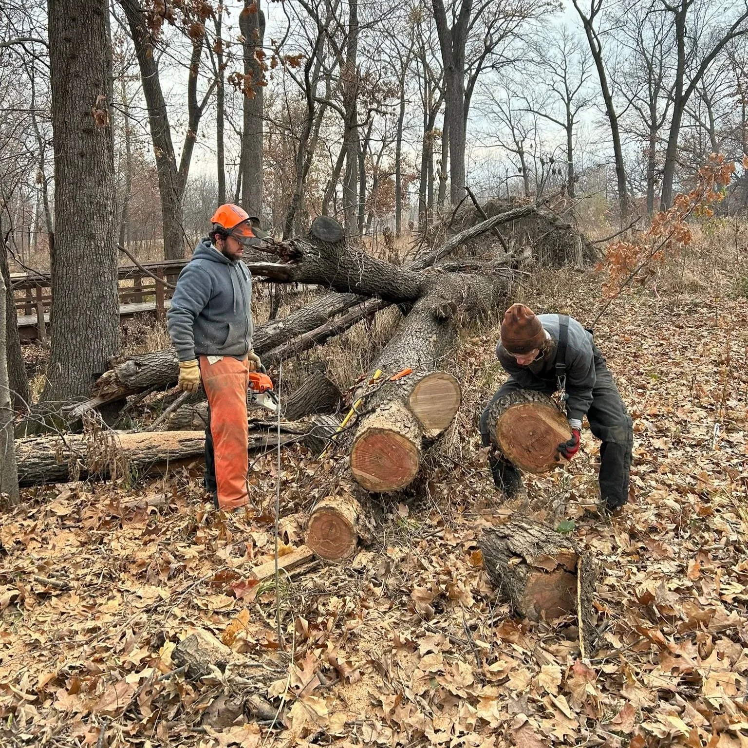 Strategic, cautious tornado cleanup involved weeks of time-consuming manual labor
