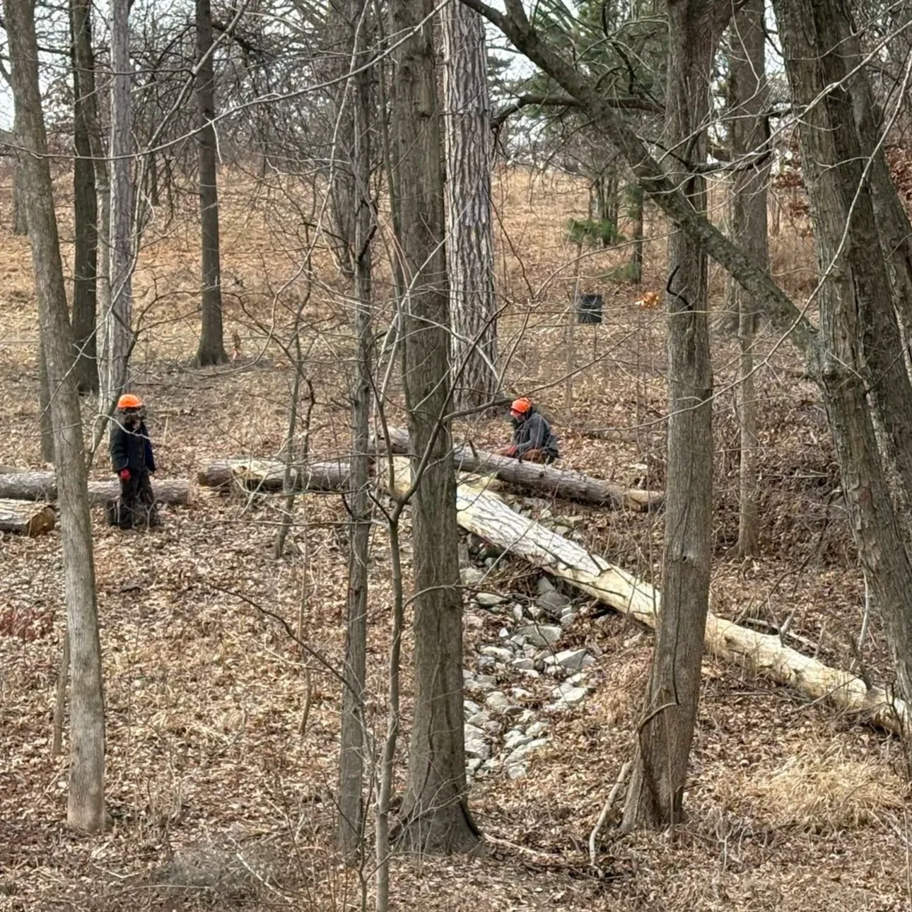 Strategic, cautious tornado cleanup involved weeks of time-consuming manual labor