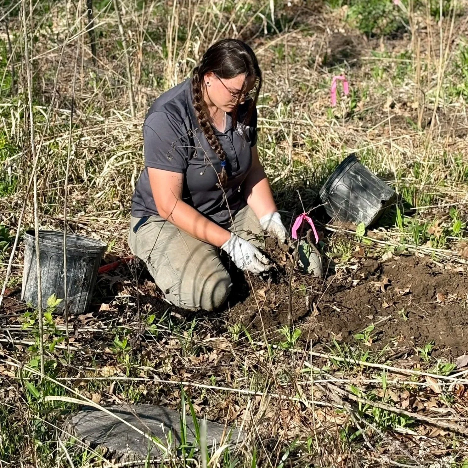 Forest Park Forever team members and volunteers planted 200 trees donated by the Webster Groves Rotary Club in Successional Forest on April 1 and 2, 2026