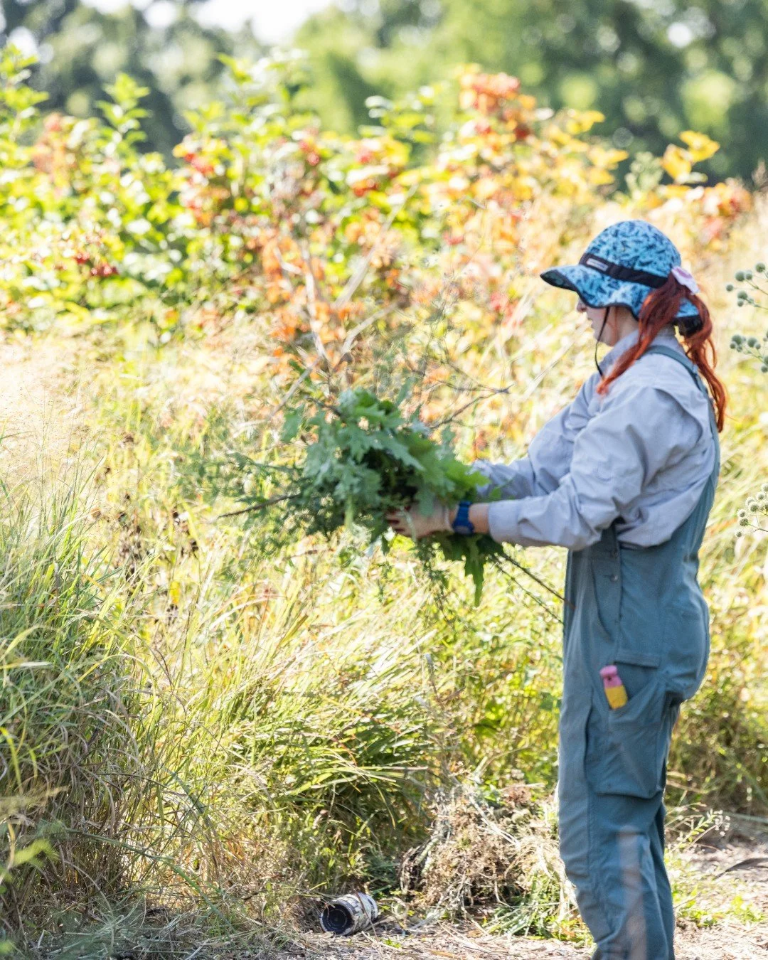 Next week (May 7) is Give STL Day! This annual event uplifts local nonprofits and conservancies during a 24-hour fundraiser. 

Since 1986, we have been making sure everyone&mdash;from St. Louis and beyond&mdash;can access beautiful natural areas and 