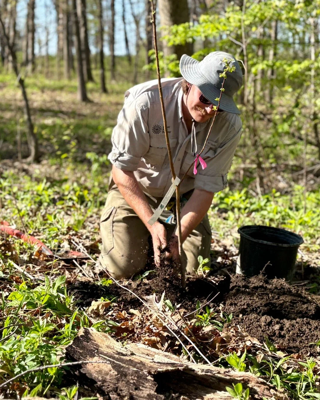 It's been nearly a year since an EF3 tornado ripped through St. Louis and damaged more than 5,200 of the Park's namesake trees. 

🌳 It will take decades and a significant investment to regrow the Park's canopy. But the storm did not change our missi