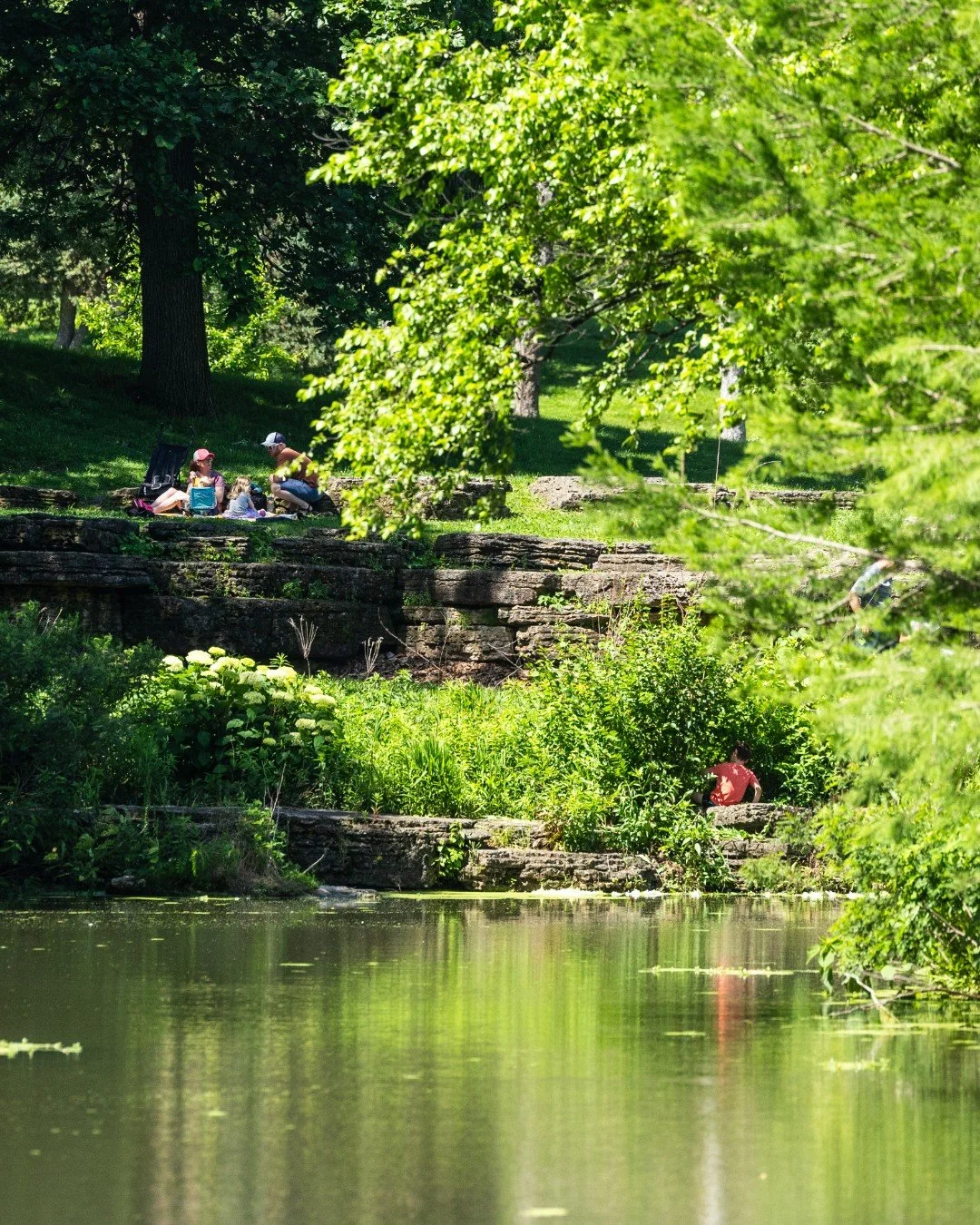 Forest Park is so big! You can be surrounded by people but still find space all to yourself.

🔗 Link in our bio for an Interactive Map of Forest Park and find your way around.

#ForestParkForever #ForestParkStL #ForestParkStLouis #ForestPark #Forest