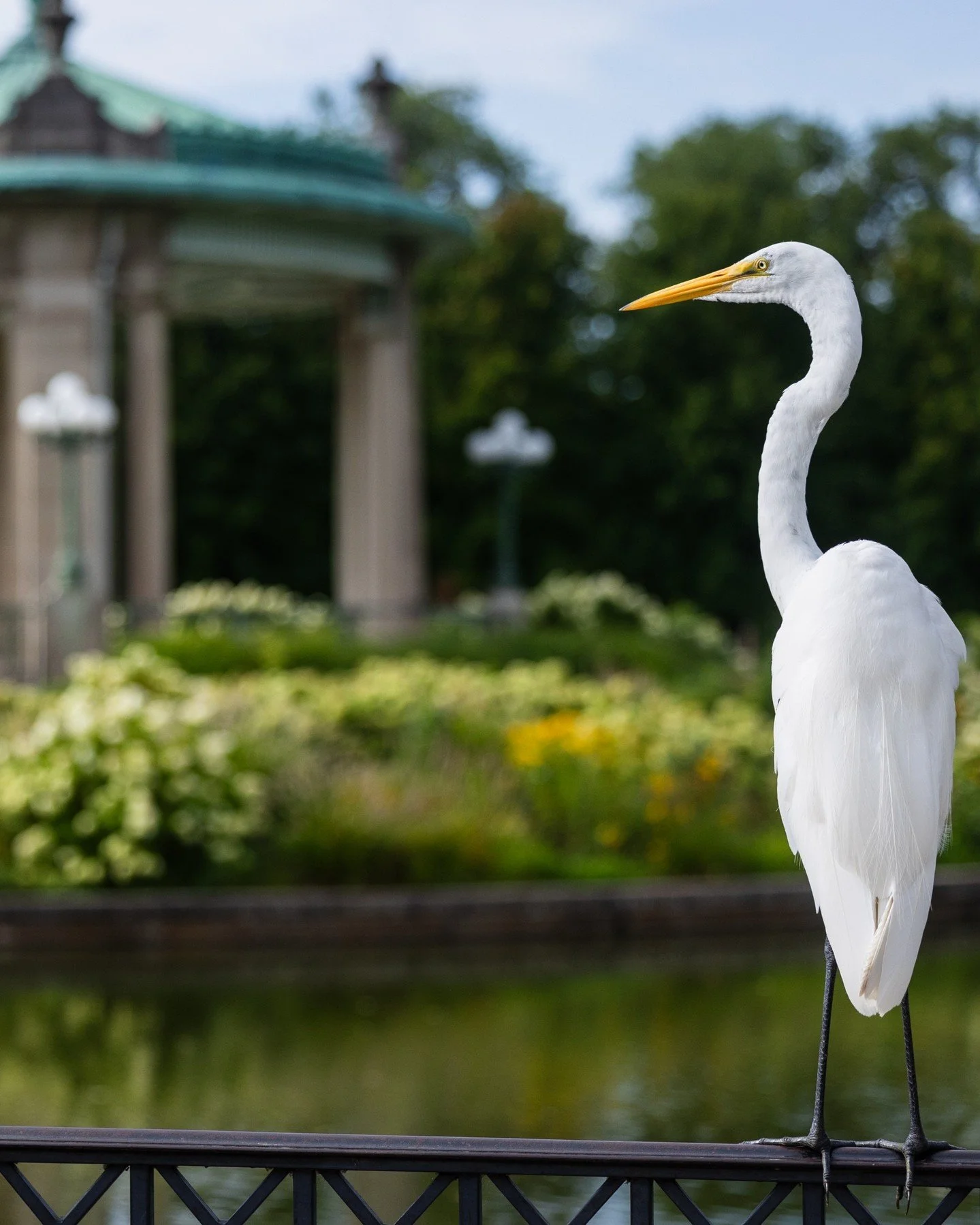 What kind of bird is this?

Meet fellow bird enthusiasts at the Dennis &amp; Judith Jones Visitor and Education Center for a Beginner Bird Walk at 8am this Saturday, June 6.

Weather permitting, these meetups are short (two hours or less) trips along