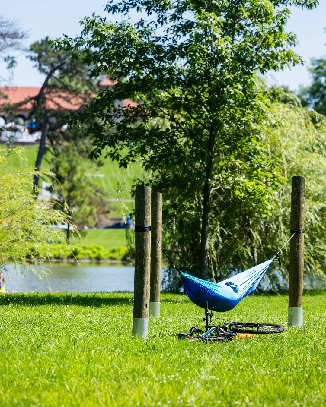 Summer in Forest Park ❤️ 🧡 💛 💚 💙 💜 There are so many things to explore and places to be. 

🔗 Link to the "calendar of Park events" in our bio for a sampling of what's happening this season.