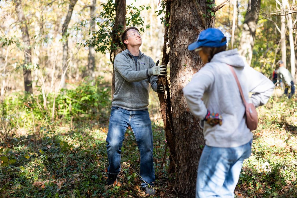 Forest Restoration Project Day
