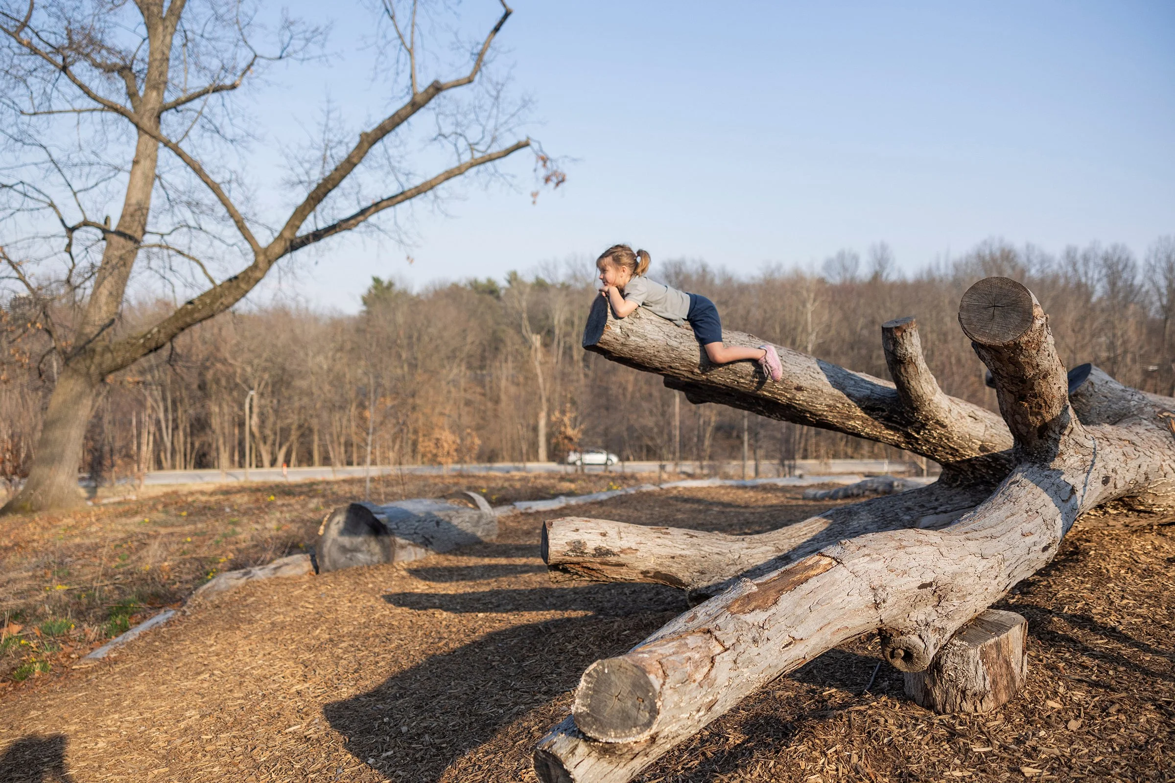 Salvaged logs create natural jungle gyms