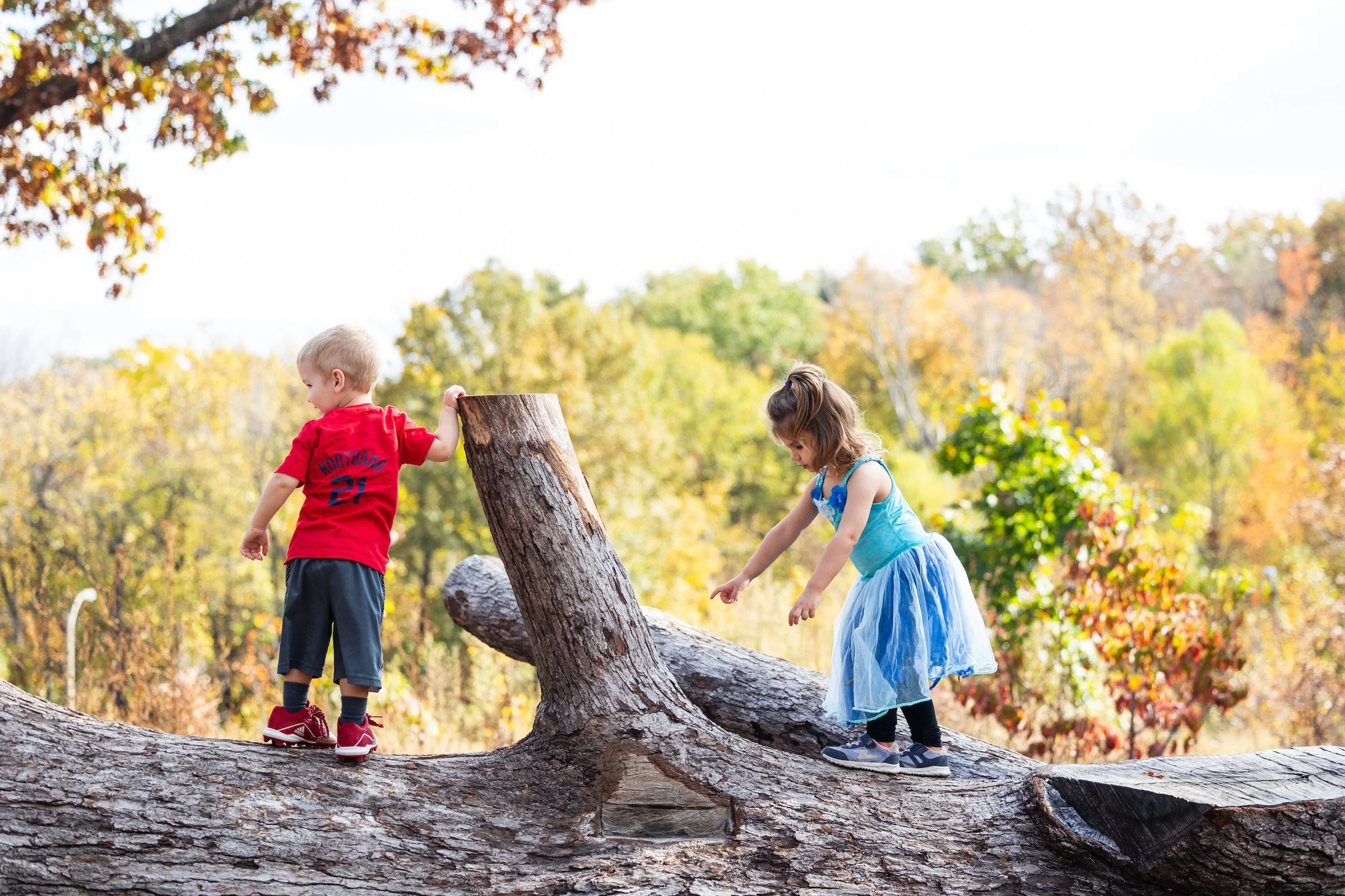 Salvaged logs create natural jungle gyms