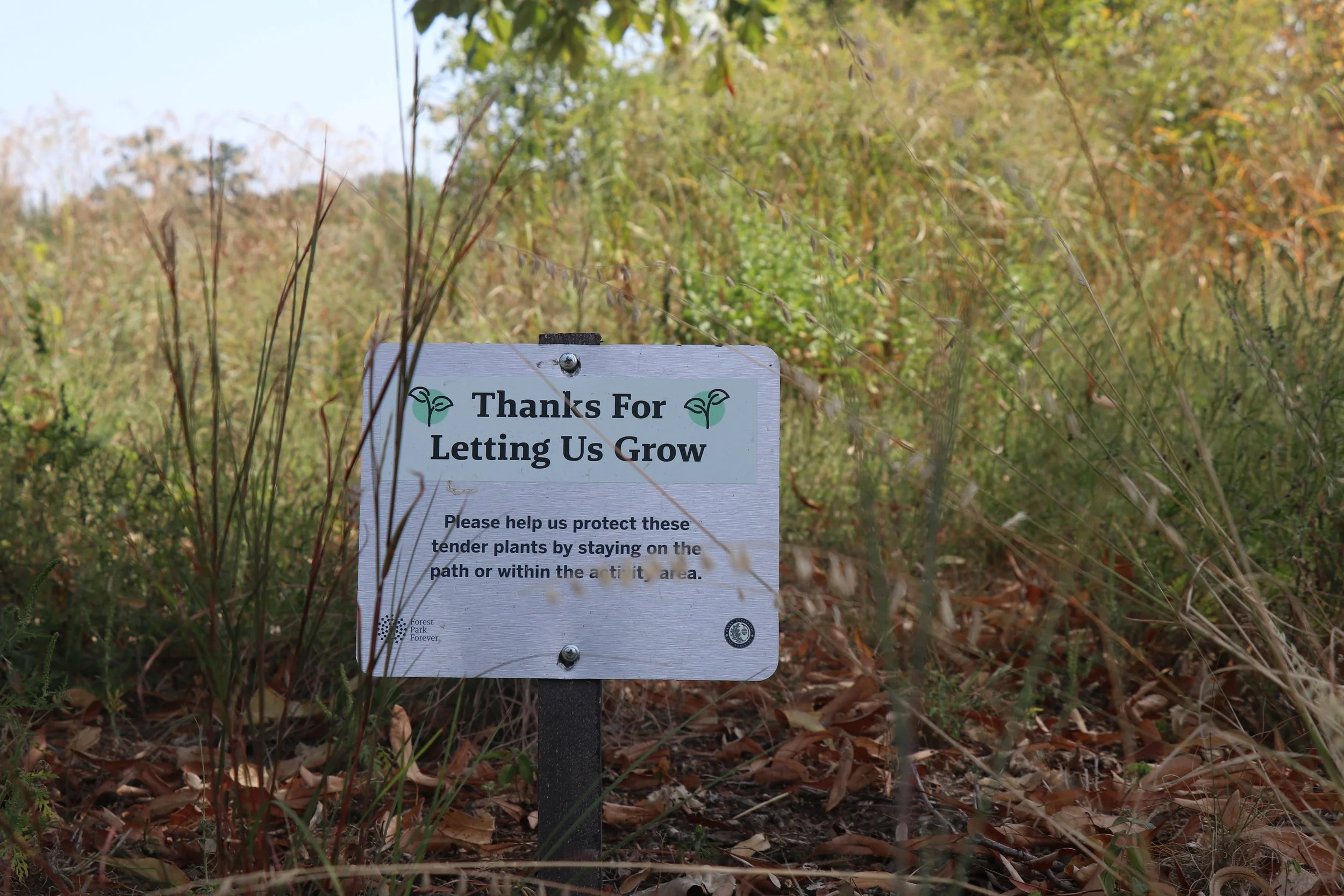 The Playscape will continue to grow and change over the years