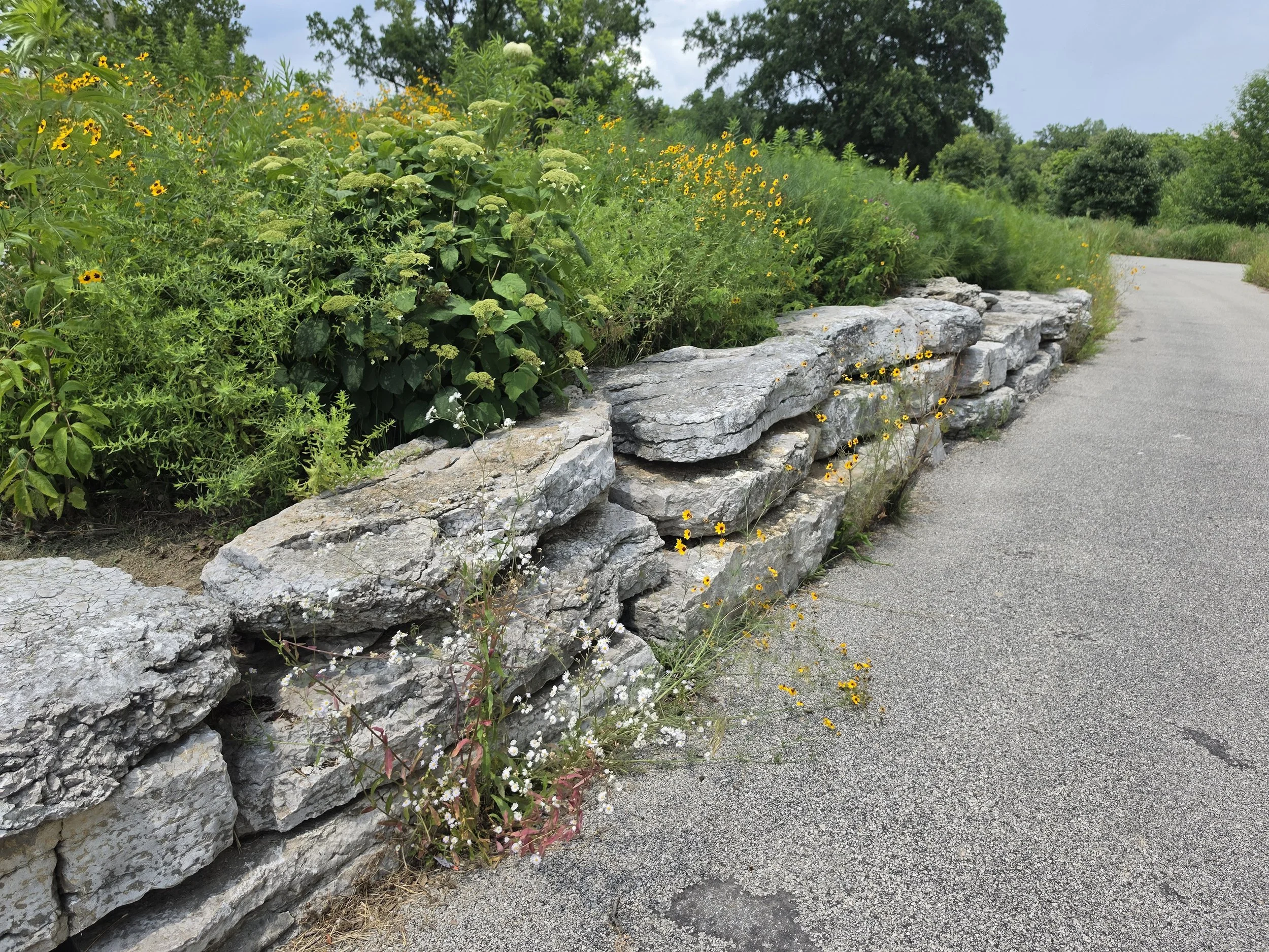 Plants spilling onto the path invite visitors to stop, touch and smell the flowers