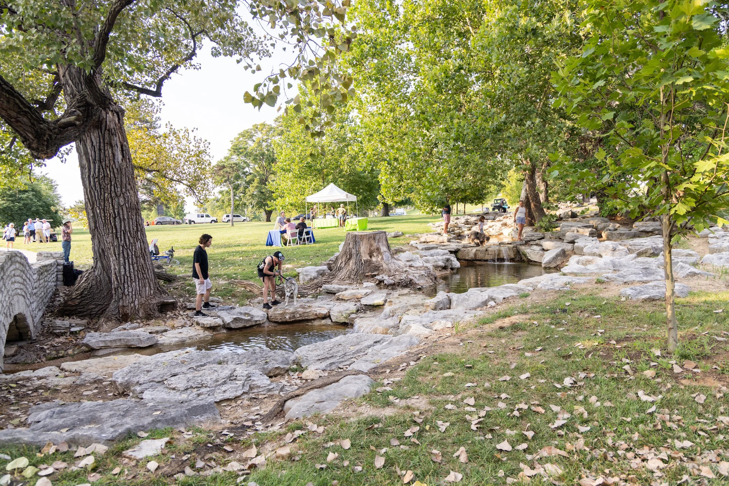 The historic Seven Pools cascades and bridge—which date to the 1930s—have been repaired and reactivated