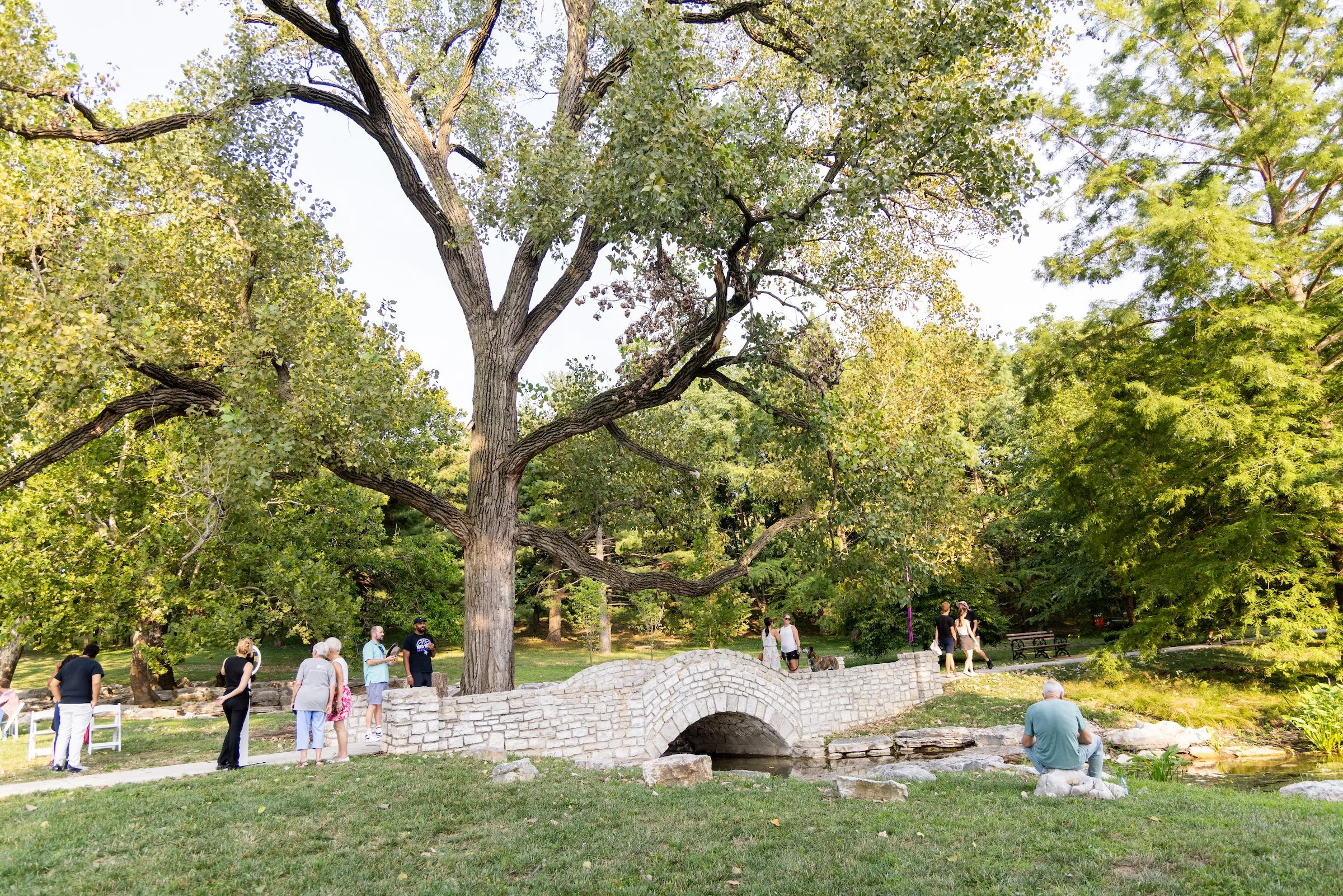 The historic Seven Pools cascades and bridge—which date to the 1930s—have been repaired and reactivated