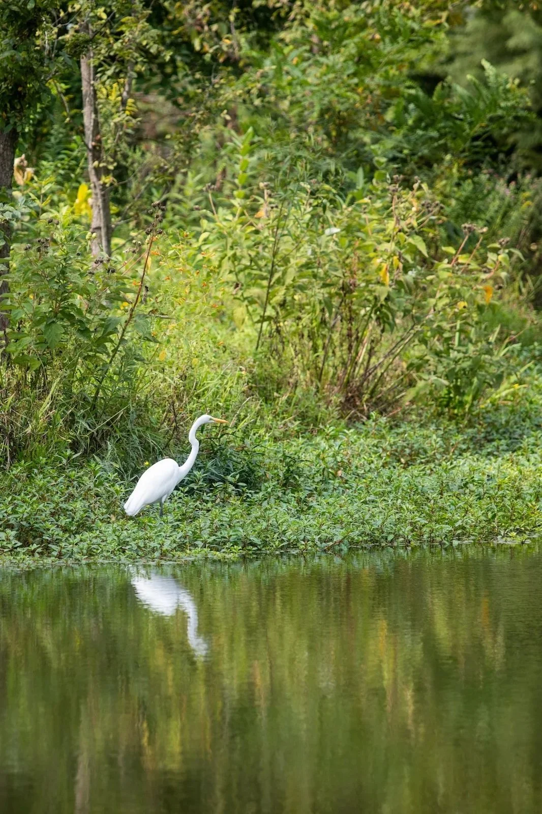 One Year Later: Celebrating the River’s Return