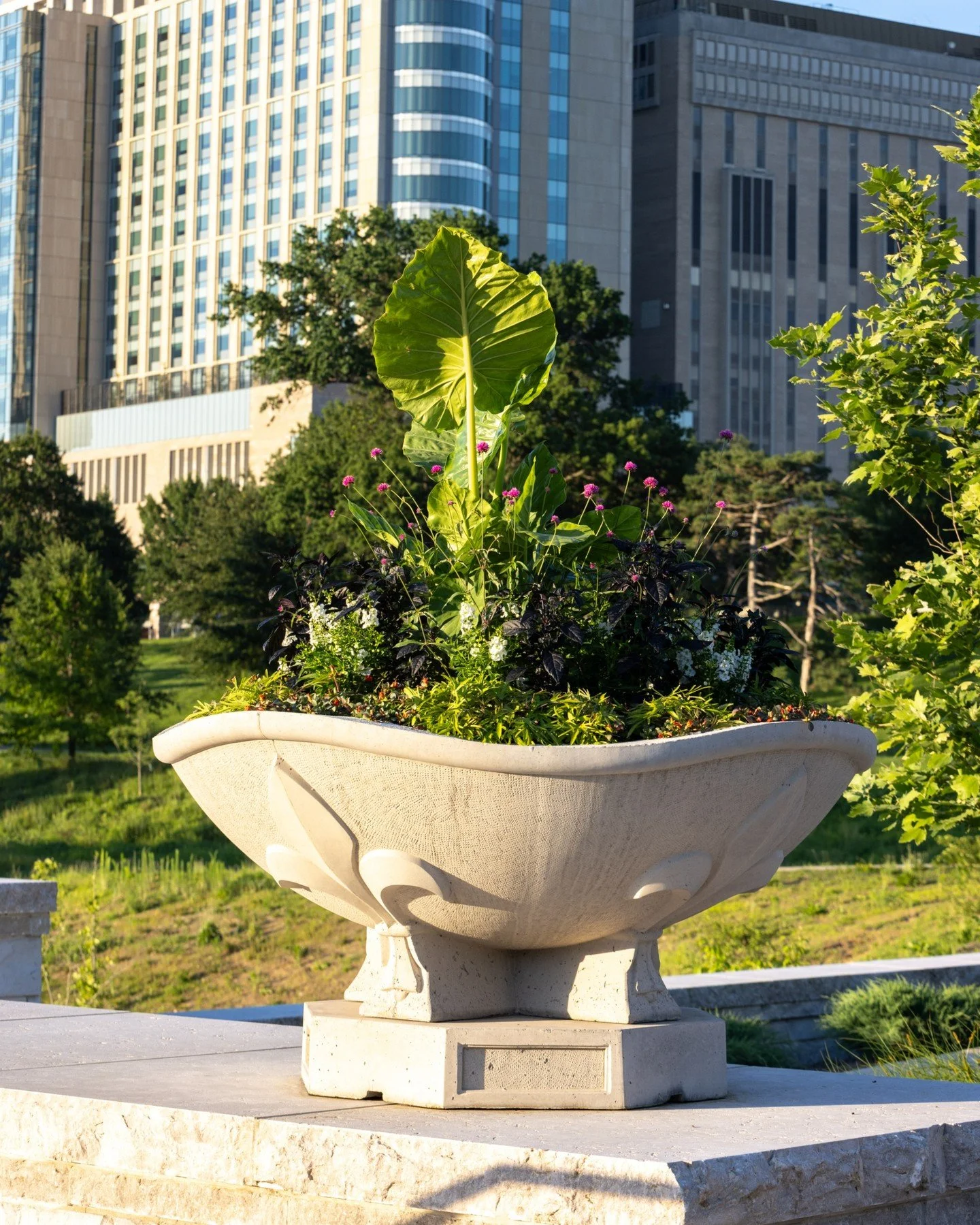 Who else loves the planters on the east side of Jefferson Lake? ⚜️ 

Our team has been creating seasonal masterpieces in these concrete vessels since last year. 🌱 

The scenic overlook along Clayton Avenue is one of the many new features finished du