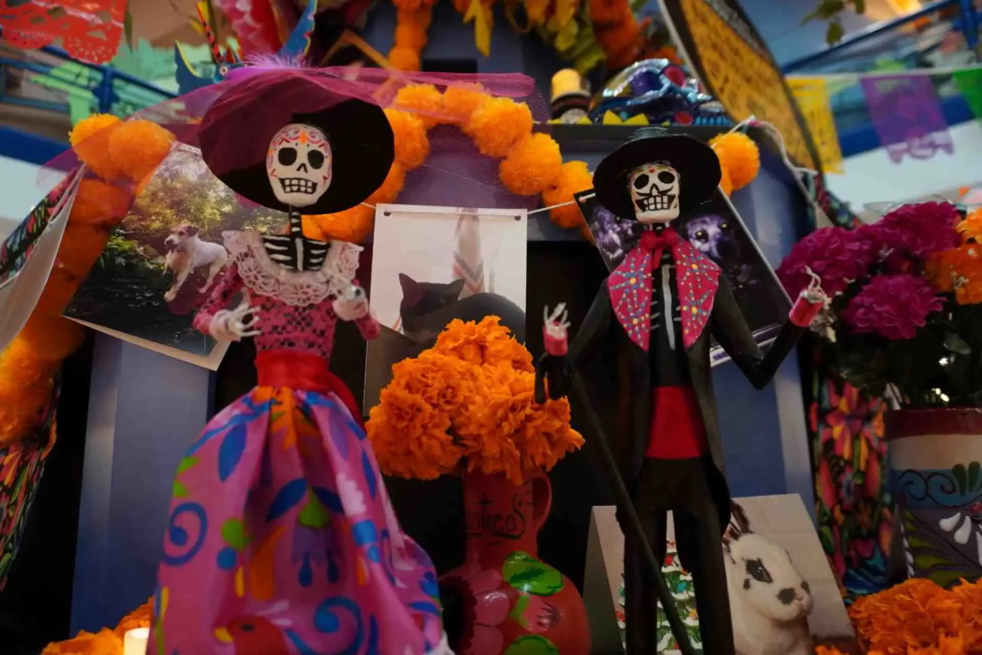 Día de los Muertos and Beloved Animals Ofrenda