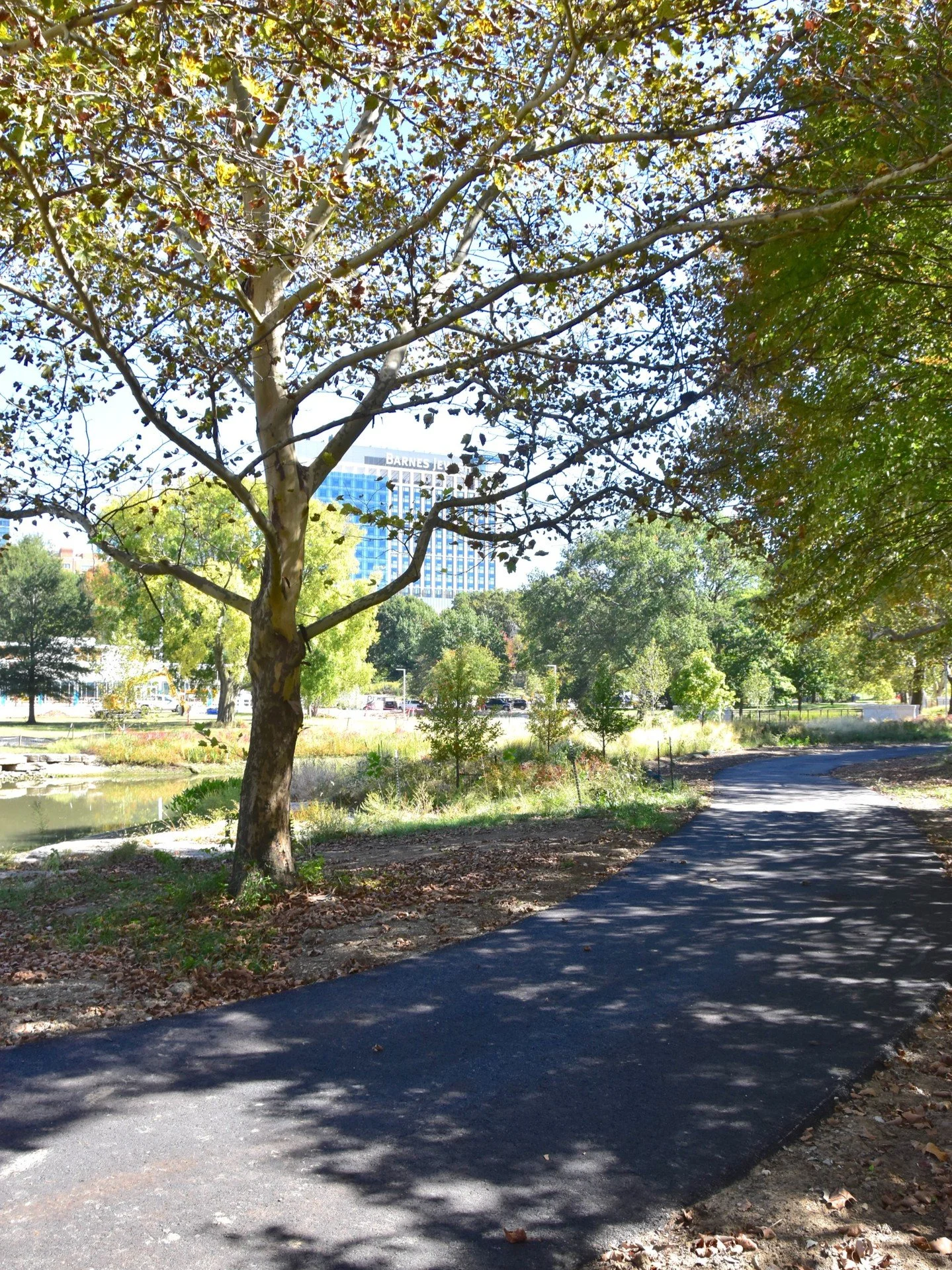 The @forestparkglade won't only improve the experience for Steinberg Rink skaters; it also will make the 6-mile dual recreation path around Forest Park even better. We shifted this section of the popular path west of the Taylor Kindle River, so now p