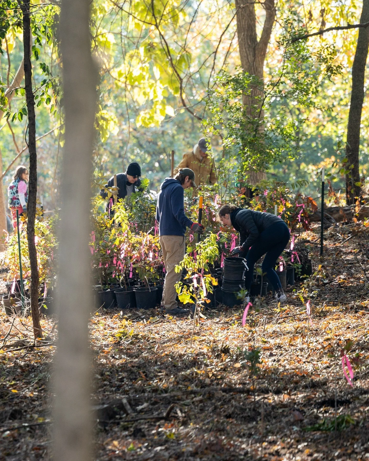Volunteers needed in Forest Park November 7

Help reforestation planting in Kennedy Forest 🌲🪏

Link in our bio to Volunteer at Forest Restoration Day 🔗 

Made possible by Boeing, our 27th annual Restoration Day is Forest Park Forever biggest one-d