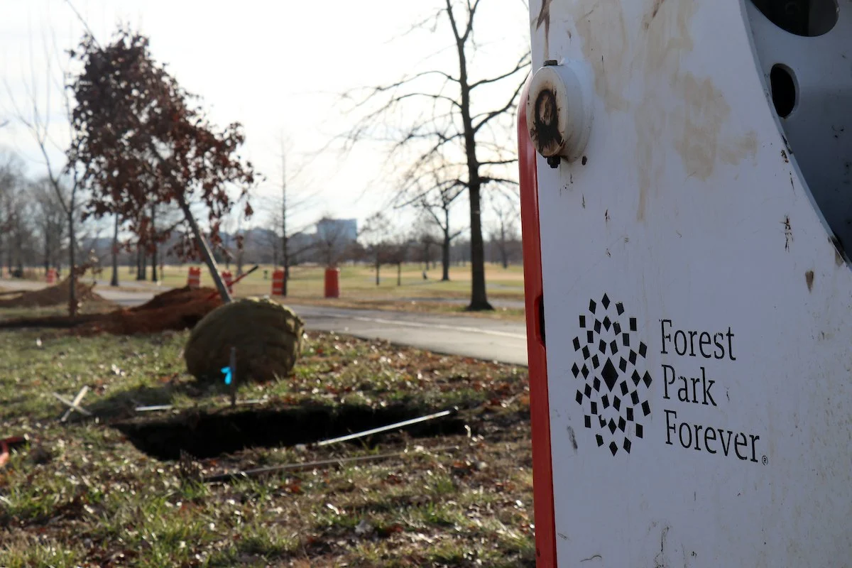 Equipment with the Forest Park Forever logo in the foreground, while new trees await planting along the dual recreational path.
