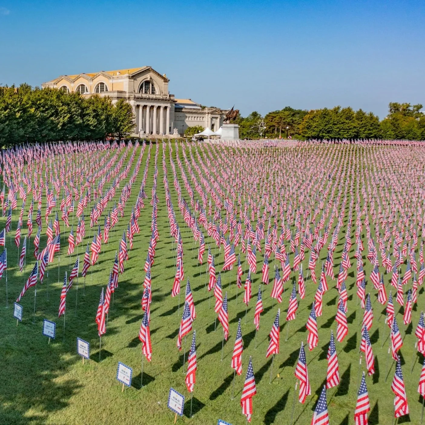 Photo of thousands of American flags in the ground on Art Hill with the Saint Louis Art Museum in the background