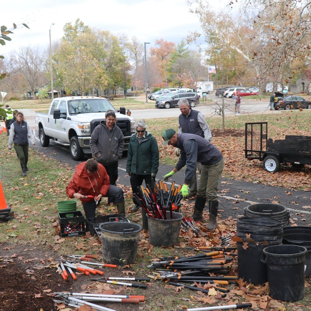 Removing Invasive Plant Species Helps Restore Kennedy Forest — Forest