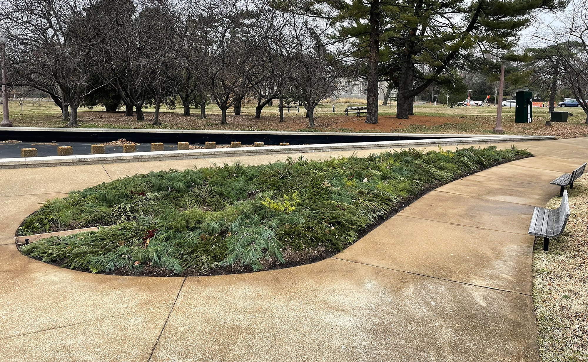Photo of soil covered by a "bulb blanket" in a flowerbed near the Jewish Tercentenary Monument