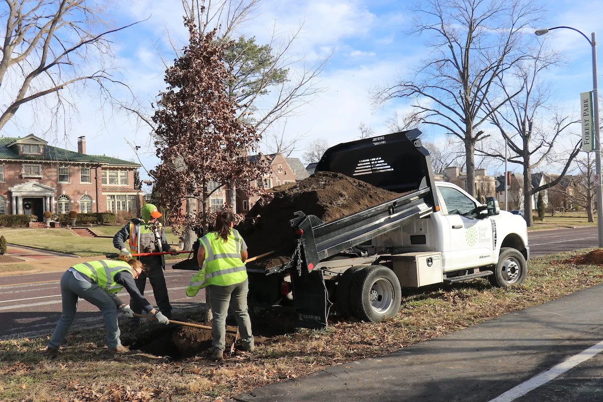 Members of the arbor team use a truck to load mulch around a newly planted tree, part of tornado recovery along the dual recreational path.