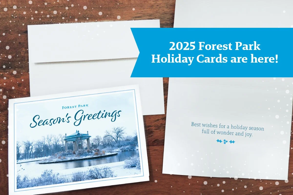 2025 Holiday Cards