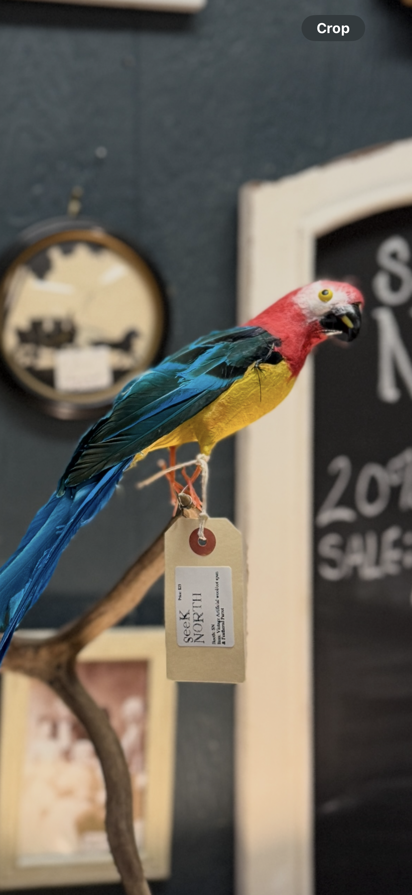 Kingston Consignment- Holiday Sale