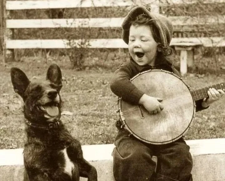 banjo.jpg