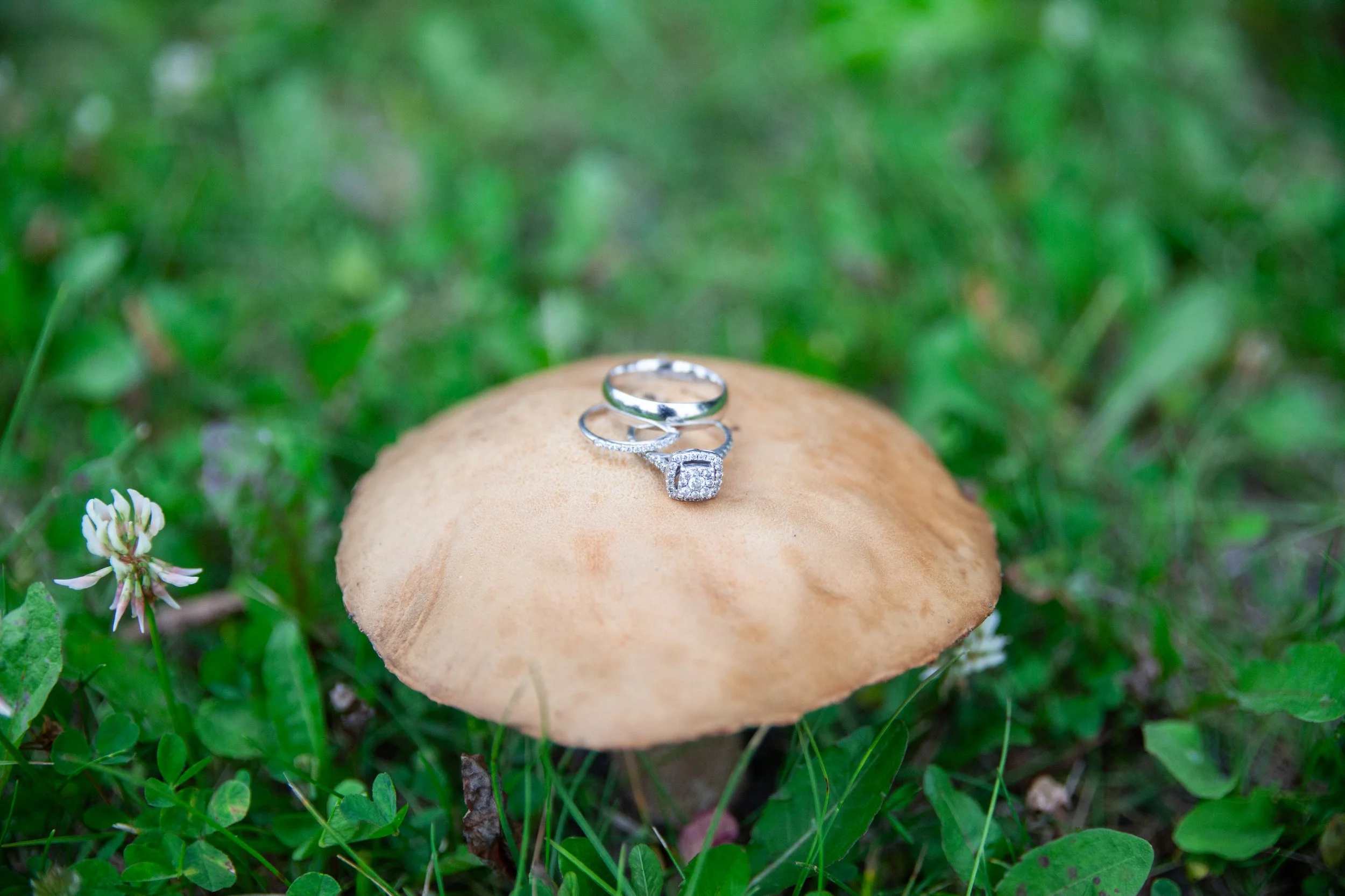 _MG_5922.jpg
