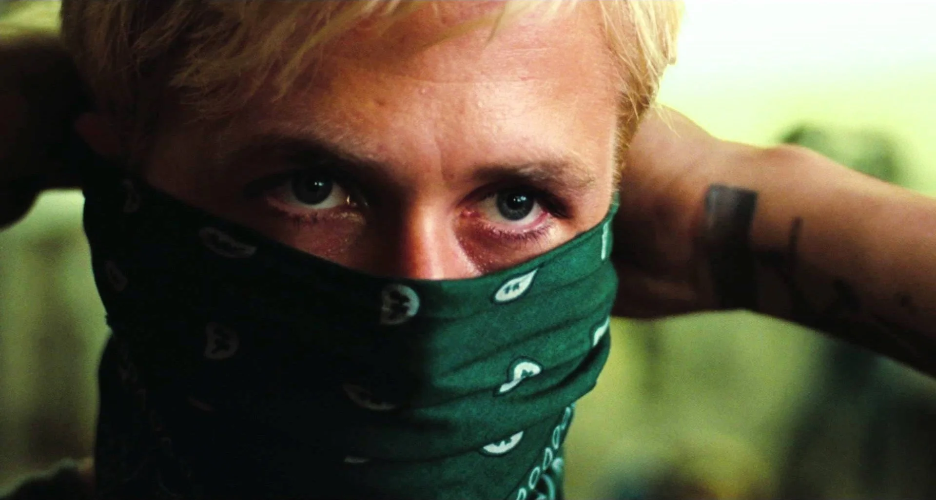 Place Beyond The Pines