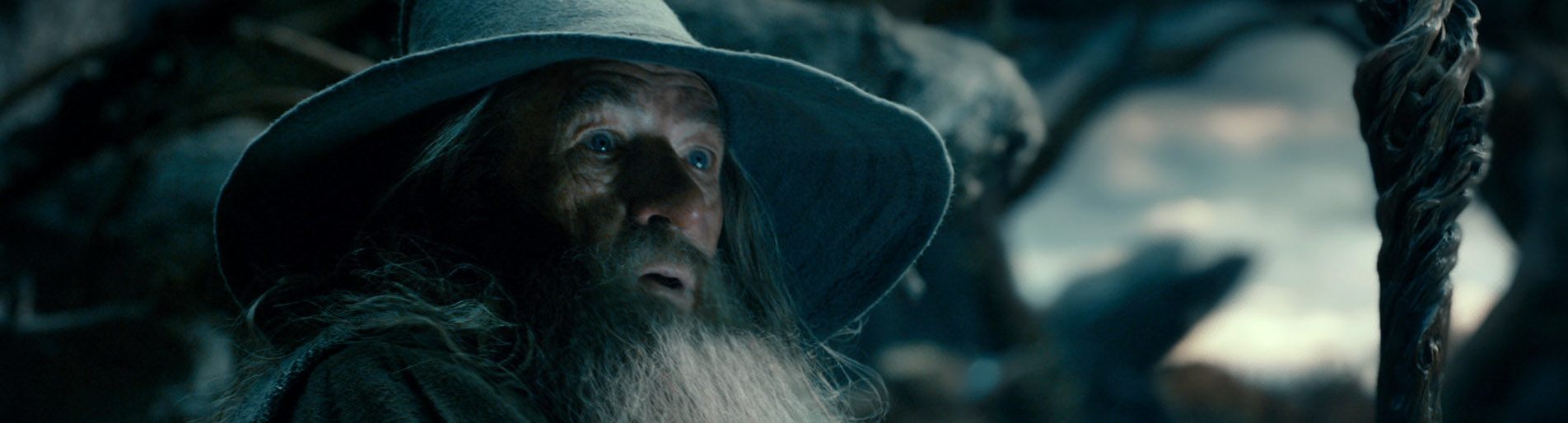 hobbit-desolation-smaug-gandalf.jpg