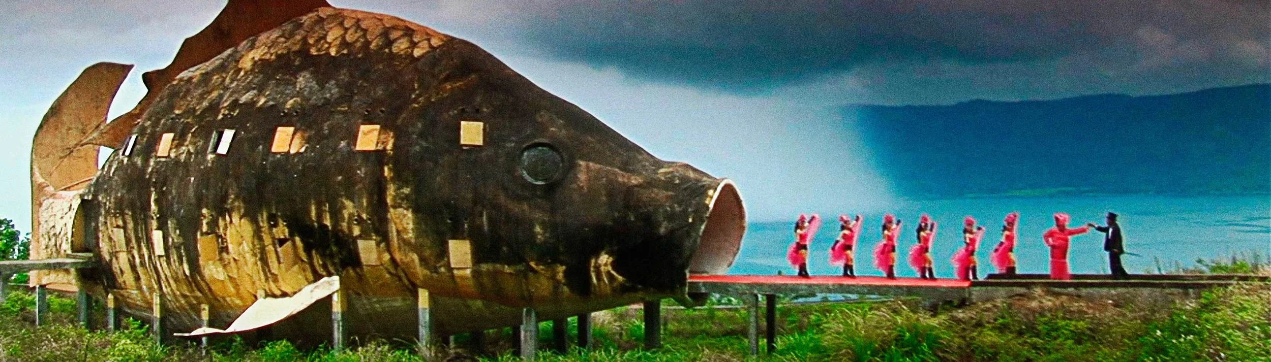1_taok_fish_framegrab.jpg