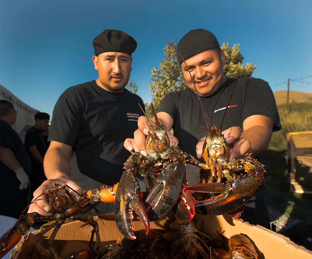 Lobsters getting ready for the cook.