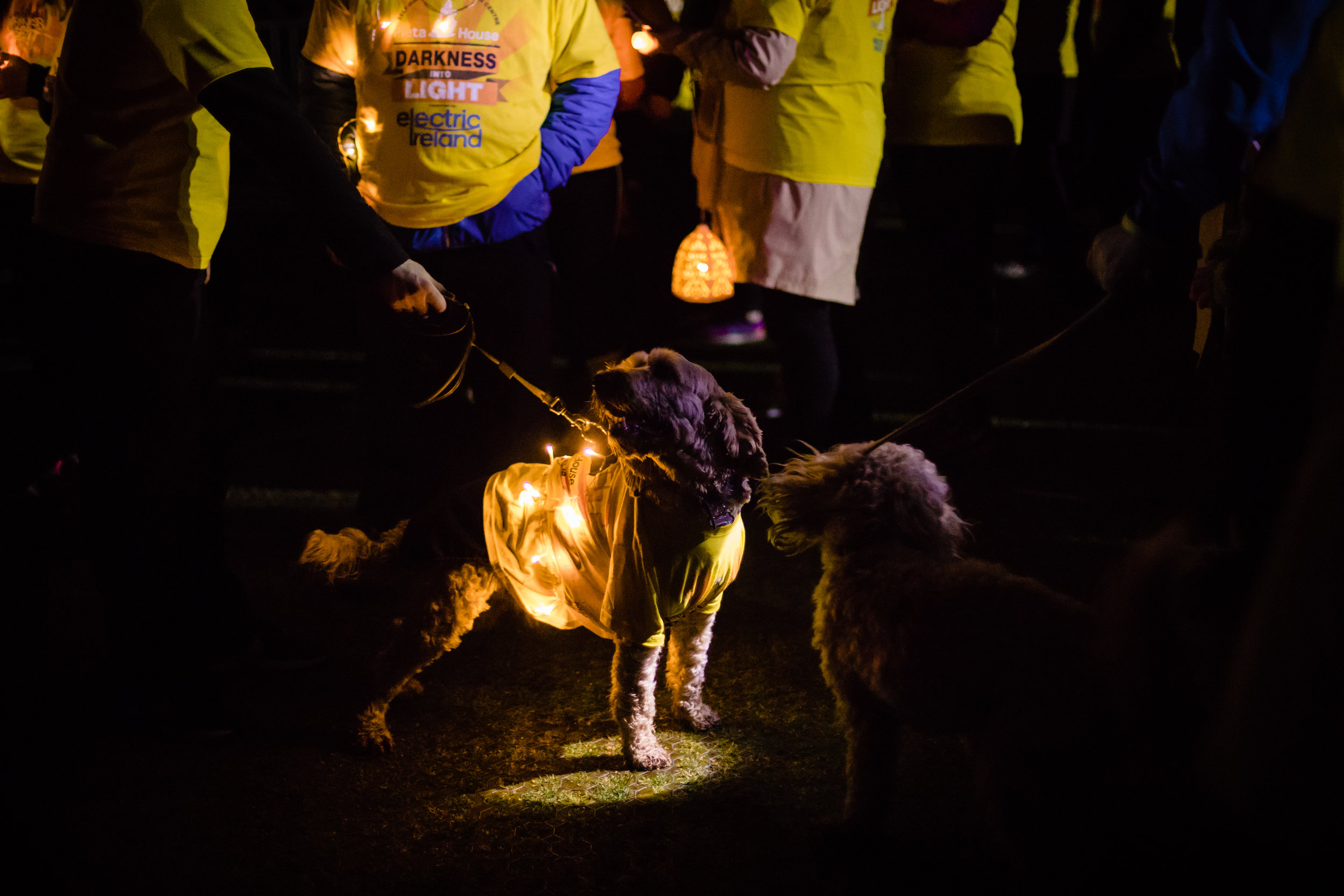 Darknessintolight22.jpg