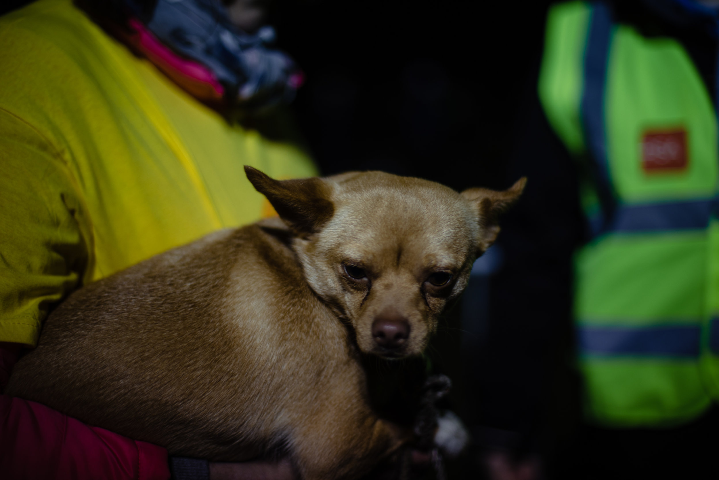 Darknessintolight28.jpg