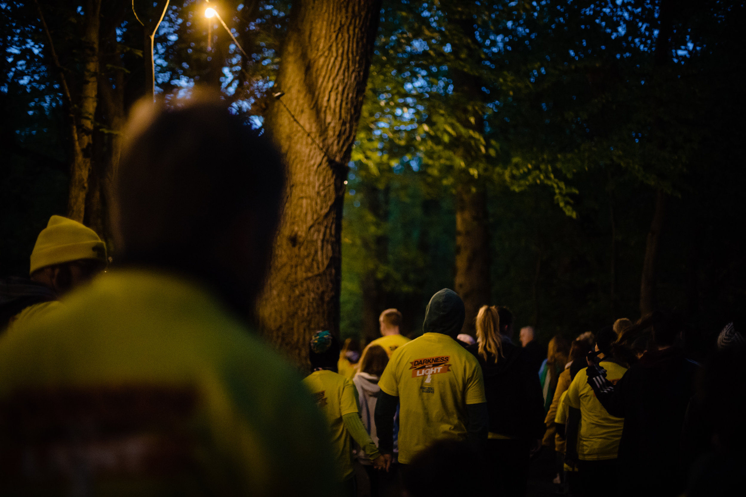 Darknessintolight36.jpg