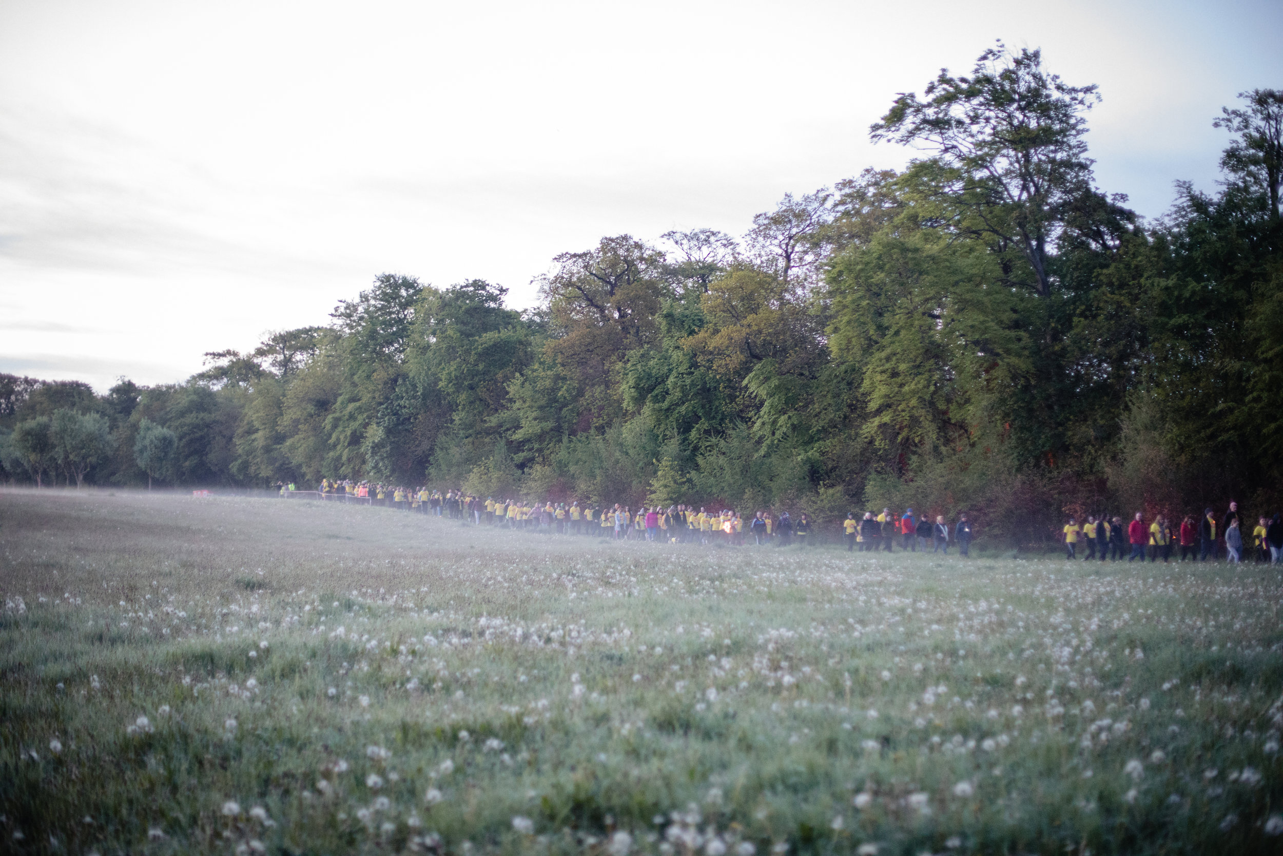 Darknessintolight44.jpg
