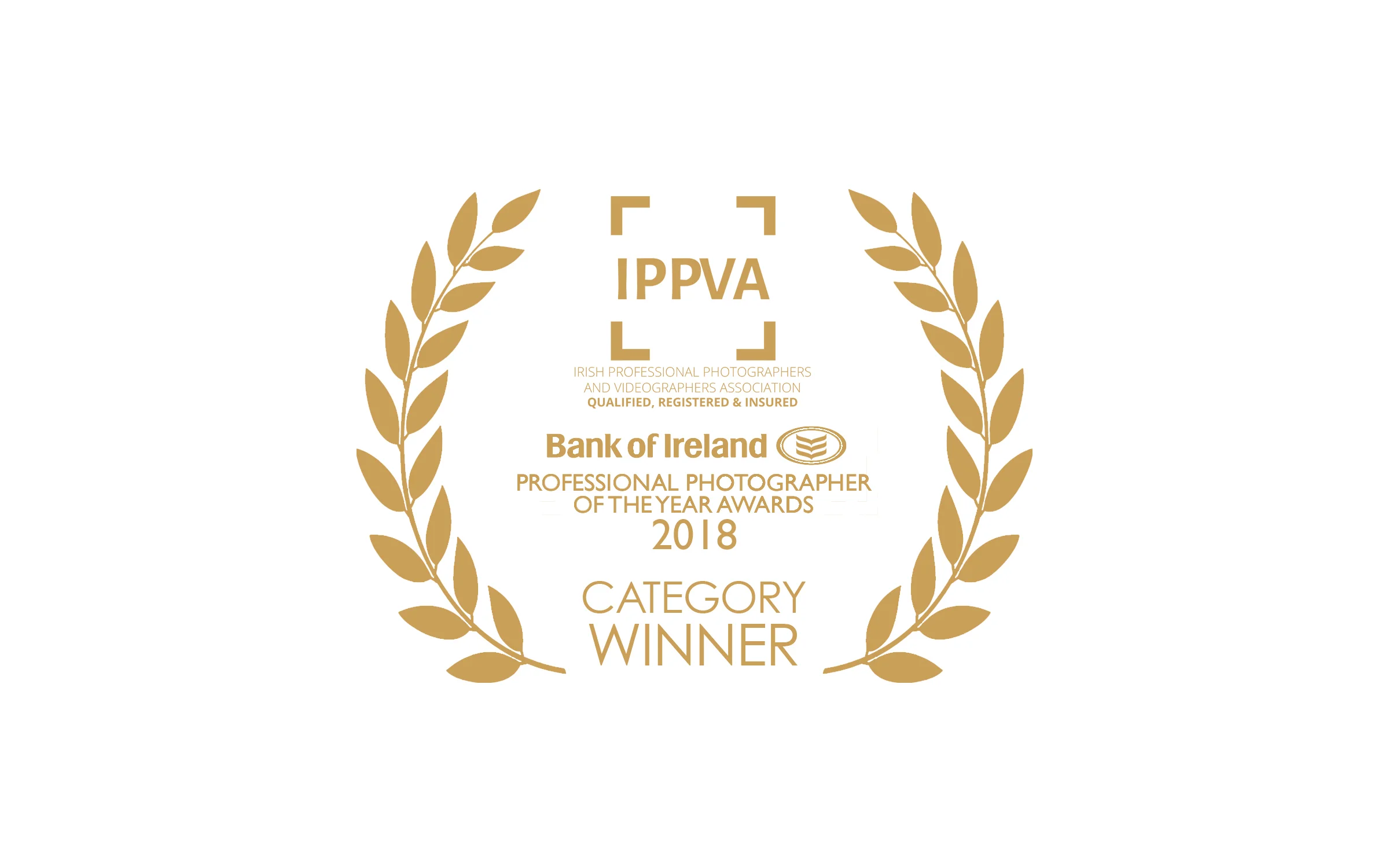 ippva_winner copy.jpg