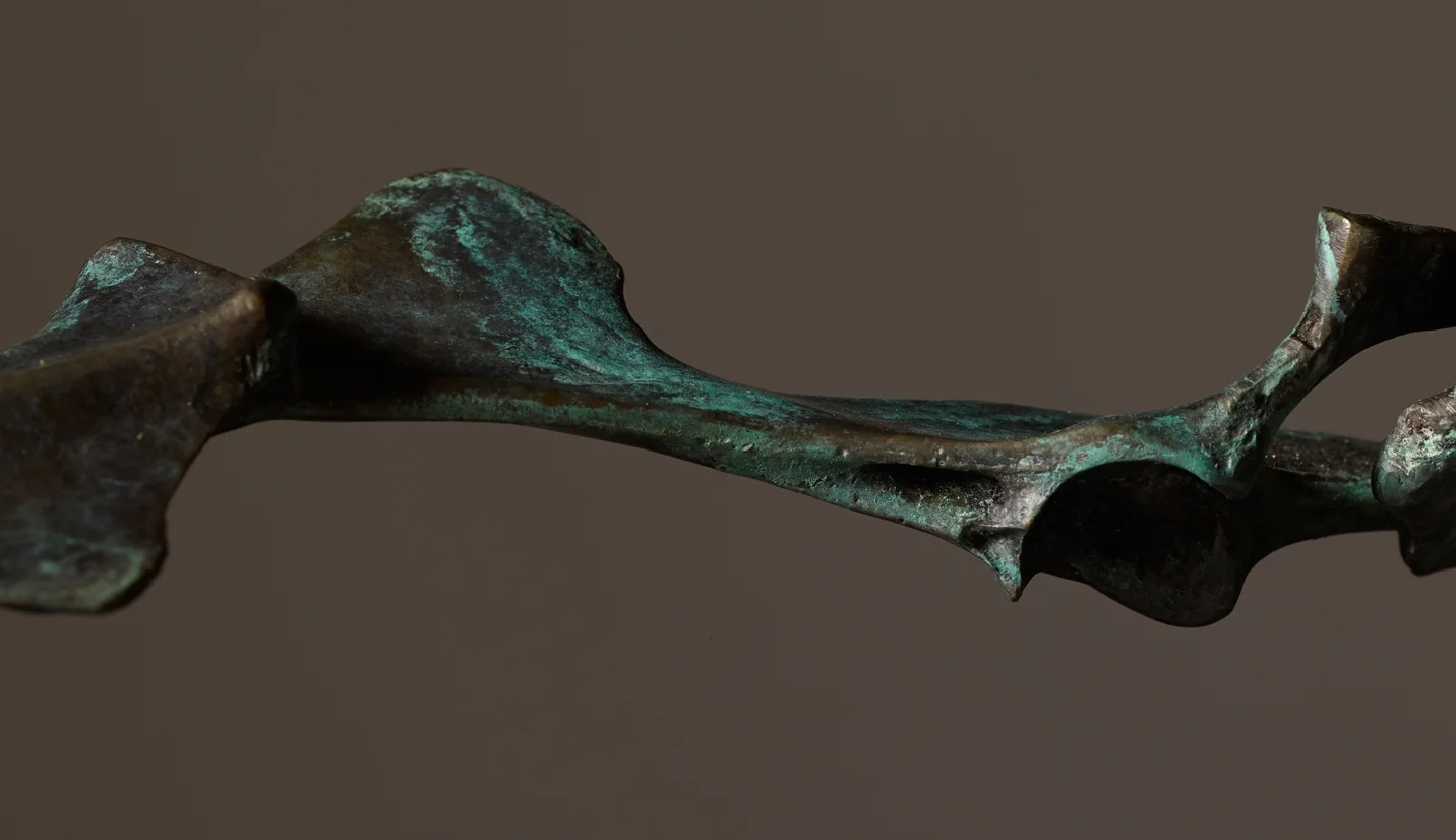 PELVIC_GALLERY_3.jpg